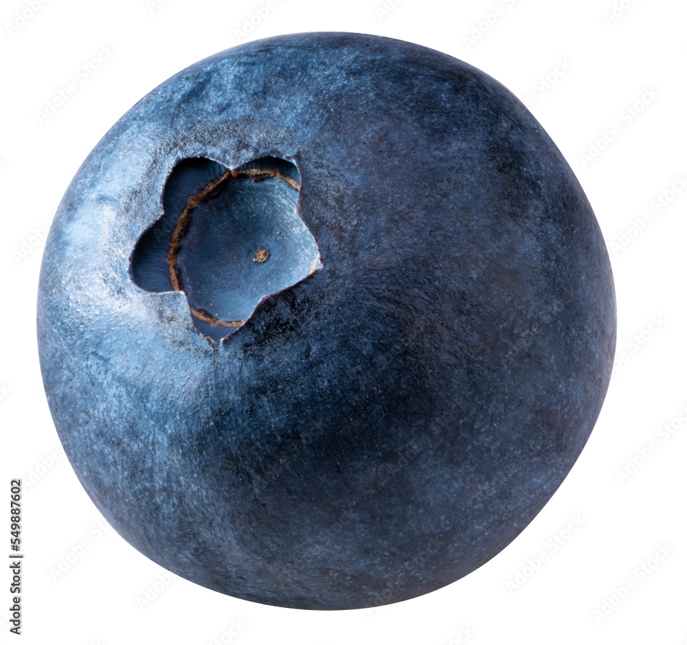 AdobeStock_549887602_Preview